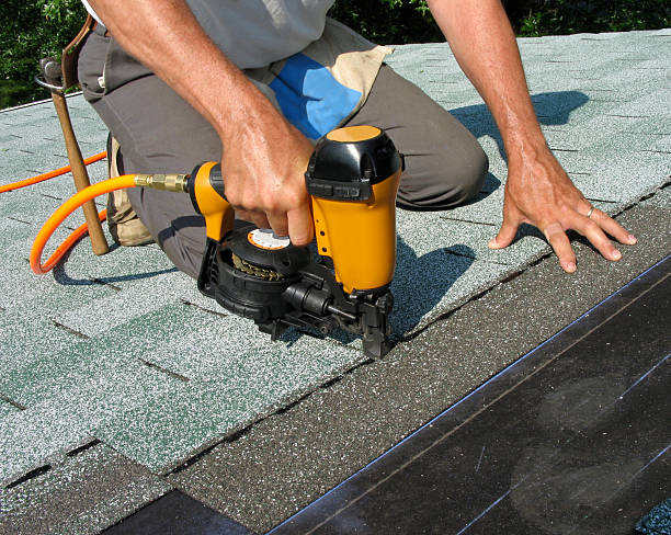 Roof Gutter Cleaning in Burgaw, NC
